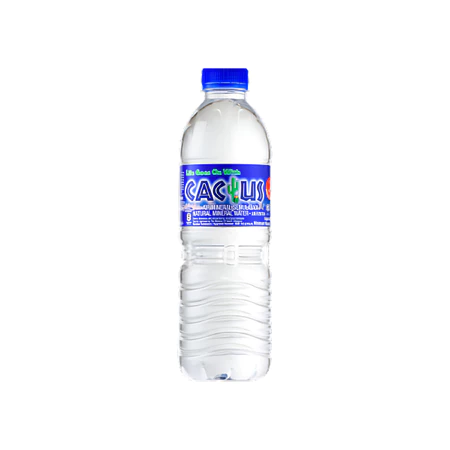 Cactus Mineral Water 500ml Carton