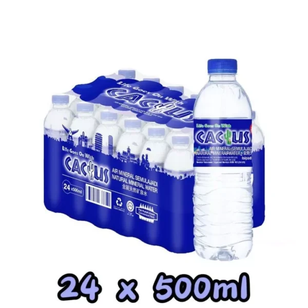 Cactus Mineral Water 500ml Carton